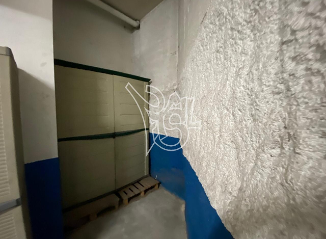 _image-5